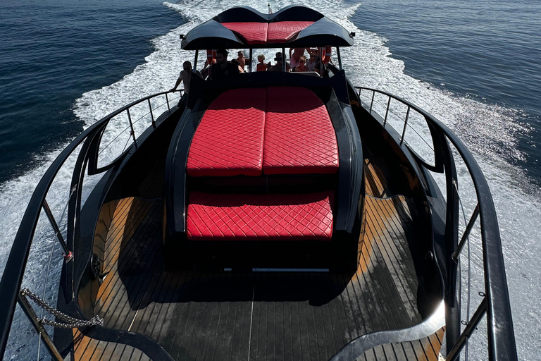 Paphos: Sea Safari Cruise with Blue Marlin Trimaran Yacht