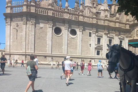 Traslado Lisboa / Sevilla