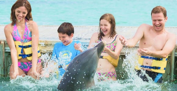 Punta Cana: Dolphin Experience