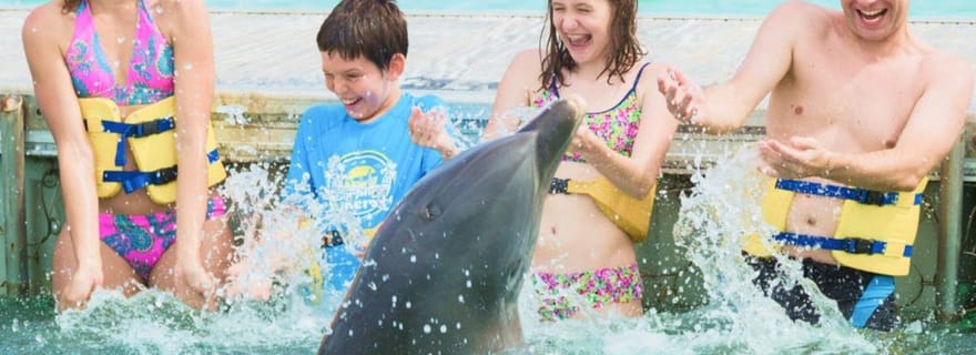 Punta Cana : Programme d'action pour les dauphins