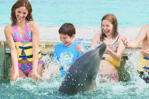 Punta Cana: Pływanie z delfinami i rekinami