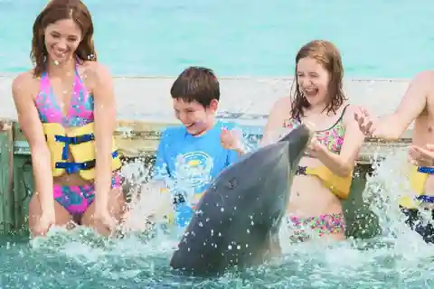 Punta Cana: Programa Acción Delfín