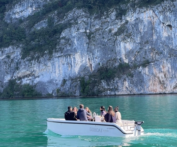 Veyrier-du-Lac: Electric Bike and Boat Experience