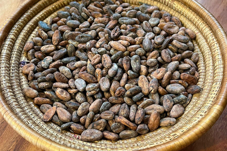 Kampala; Hands-On Female Led Chocolate Making Experience