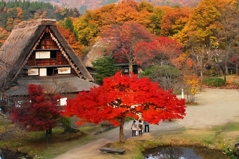 Nagoya Exclusive: Shirakawa-go Gassho Village &Takayama Tour 8:30 AM at Takayama & Shirakawa-go Gassho Village Day Tour
