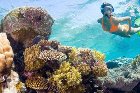 From Punta Cana: Catalina Island Snorkeling & Beach