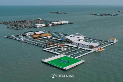 Penang: Forest Island Cruise with Dinner and Activities