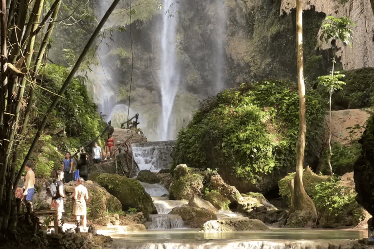 Oslob: Whale Sharks, Tumalog Falls & Sumilon Trio Adventure