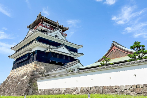 From Nagoya: Kegonji Temple, Yoro Park & Kiyosu Castle Tour