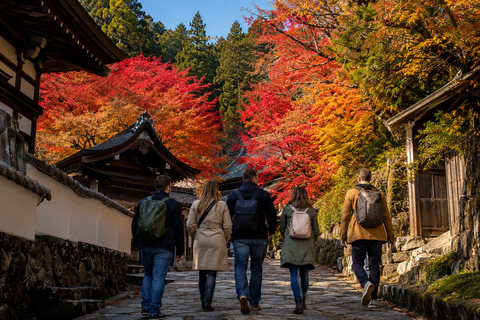 Takayama: Private Old Town, Temples & Autumn Colors Walk
