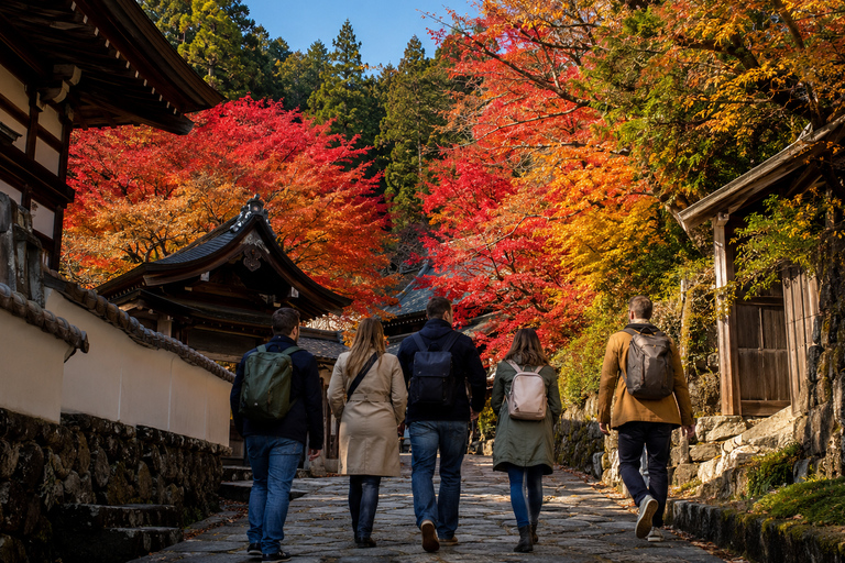 Takayama: Private Old Town, Temples & Autumn Colors Walk