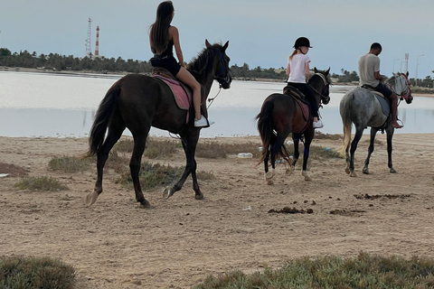 Djerba: 1 hour Horse riding on the beach.