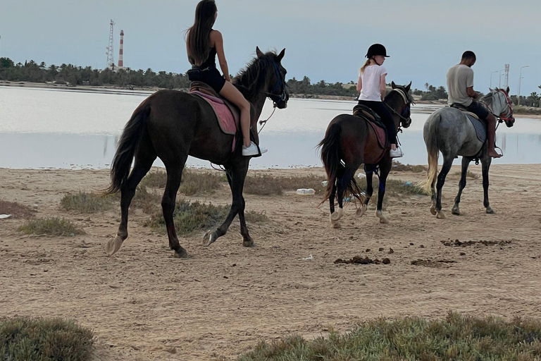 Djerba: 1 hour Horse riding on the beach.