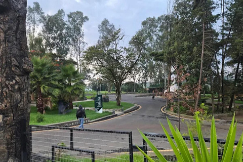 Addis Ababa: Bora Park & Bulbula Guided Tour with Pickup