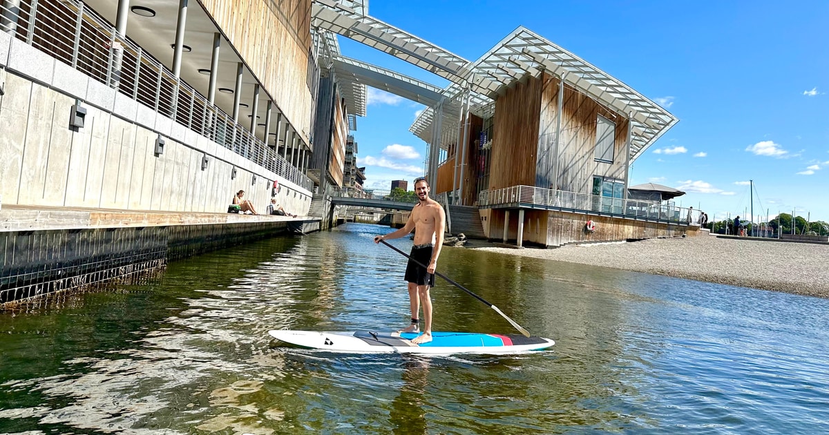 Oslo Stand Up Paddle Board Verleih GetYourGuide