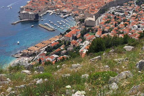 Private Dubrovnik Panorama Exploration