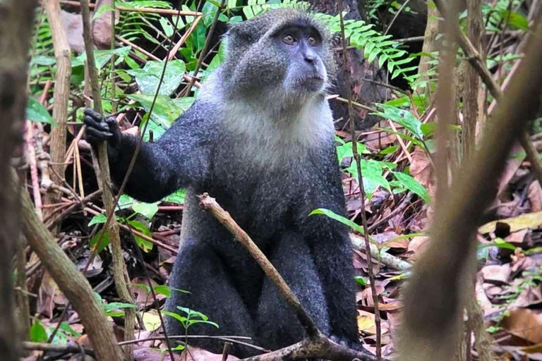 Grotta di Salam, Laguna Blu, Spiaggia delle Stelle Marine e Ristorante The Rock