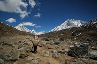 Langtang Valley Trek in 5 giorni - Housity