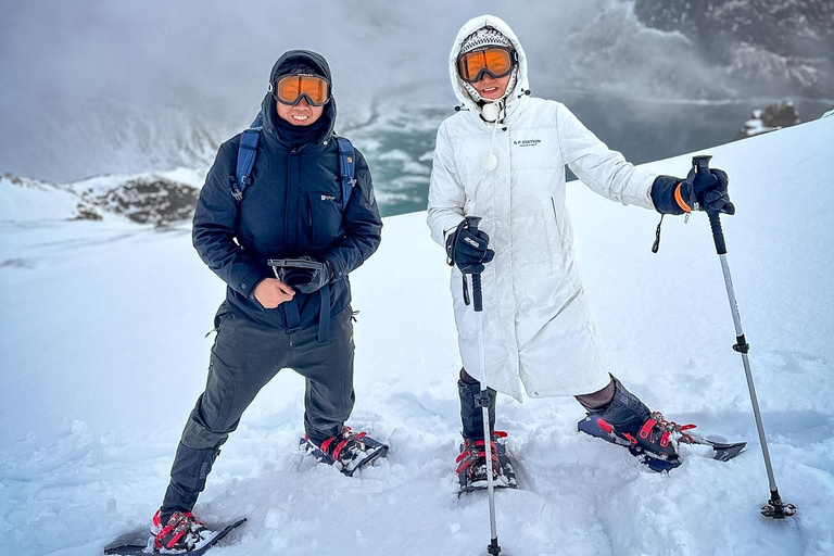 Reine: Winter Snowshoe Hike to Ryten – With Local Guide