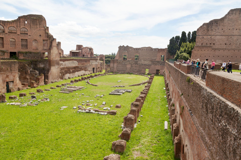 Rome: Colosseum Guided Tour with Roman Forum and Palatine English Guided Tour Small-Group