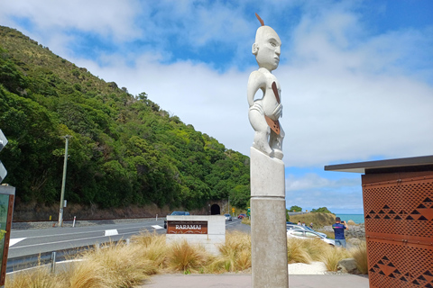 Kaikōura: Small Group Tour- optional Whale, Dolphin, Zipline Kaikōura Day Tour + Swim with Dolphins
