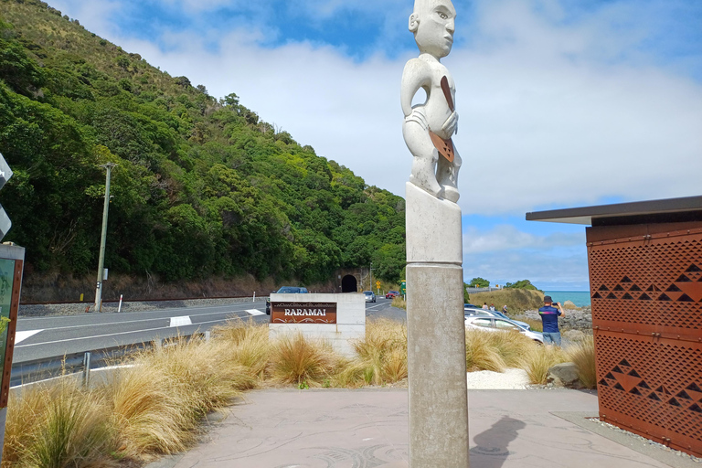 Kaikōura: Small Group Tour- optional Whale, Dolphin, Zipline Kaikōura Day Tour + Swim with Dolphins