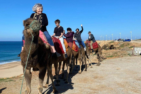 Solnedgång med kamelridning i Tangier avslutas med rundvandring