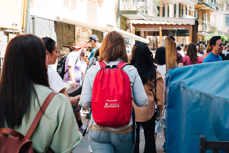 Au départ de La Spezia : Excursion à terre à Pise et Cinque TerreVisite guidée de Pise avec billet pour la Tour penchée