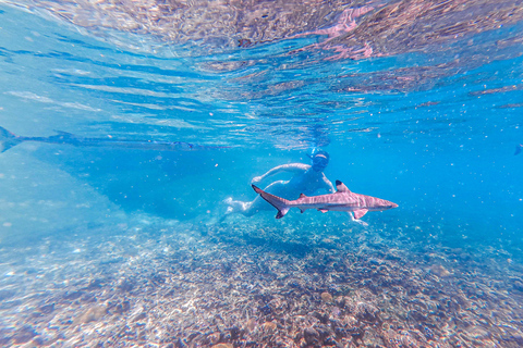 Koh Tao: Snorkel with Turtles at Nangyuan with Fewer Crowds