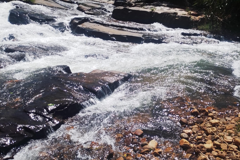 Kandy: Private City Tour by Hybrid Car with Driver