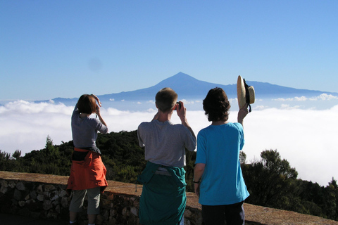 La Gomera: Regnskogen (nationalpark)La Gomera: Vandring i regnskogen