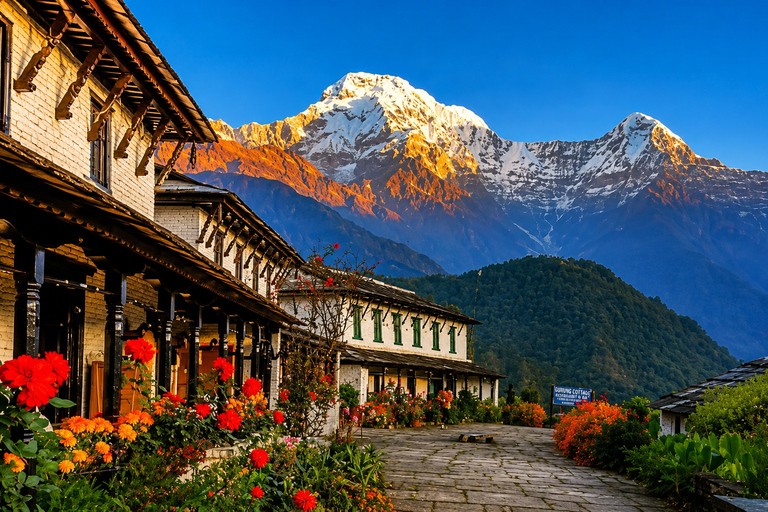 From Pokhara: 3-Day Ghandruk Trek with Guide & Transfers From Pokhara: 3-Day Ghandruk Trek by Public Bus