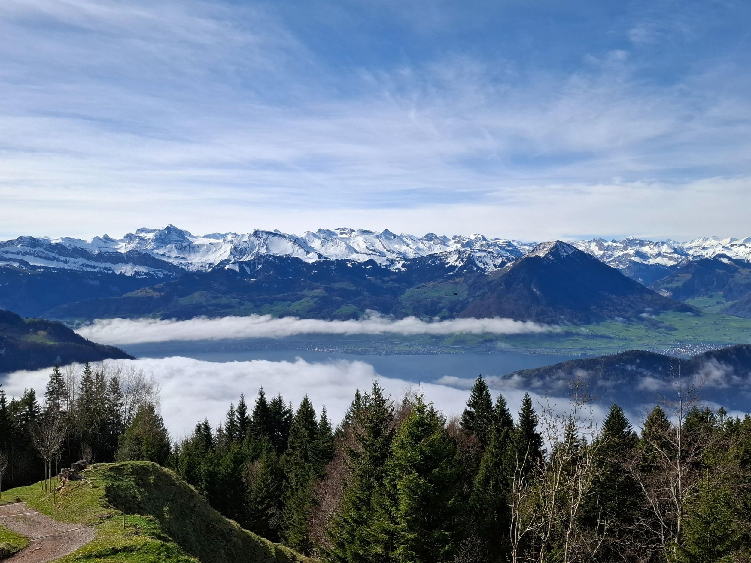 Rigi: Wanderung von Weggis nach Rigi Kaltbad & Zugfahrt zum Gipfel