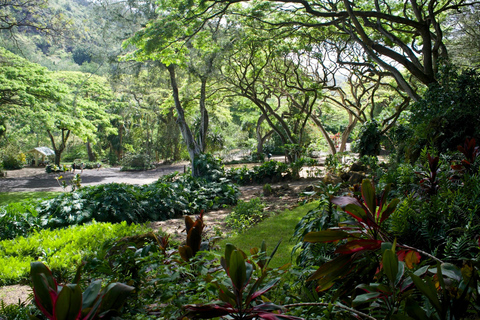 Oahu: Waimea Valley General Admission with Waterfall Access