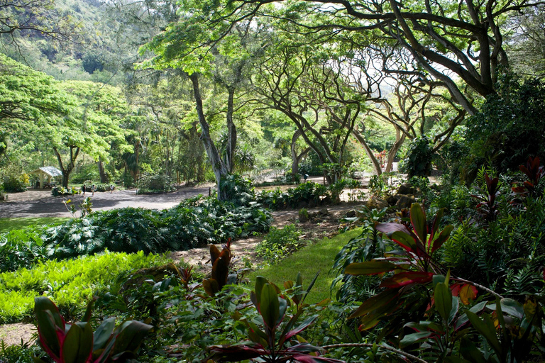 Oahu: Waimea Valley General Admission with Waterfall Access