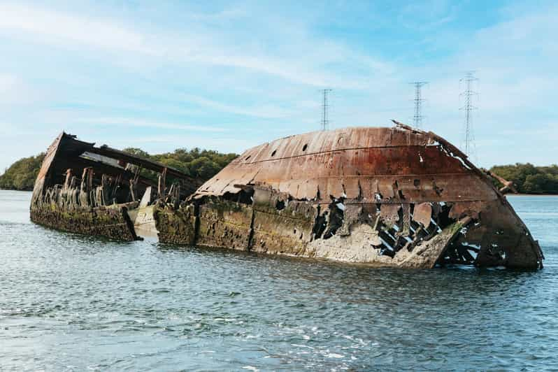 Adelaide Port River Dolphin And Ships Graveyard Cruise Adelaide