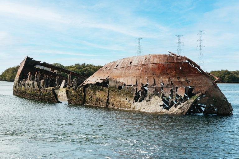 Adelaida: crucero por el cementerio de barcos y los delfines del río Port