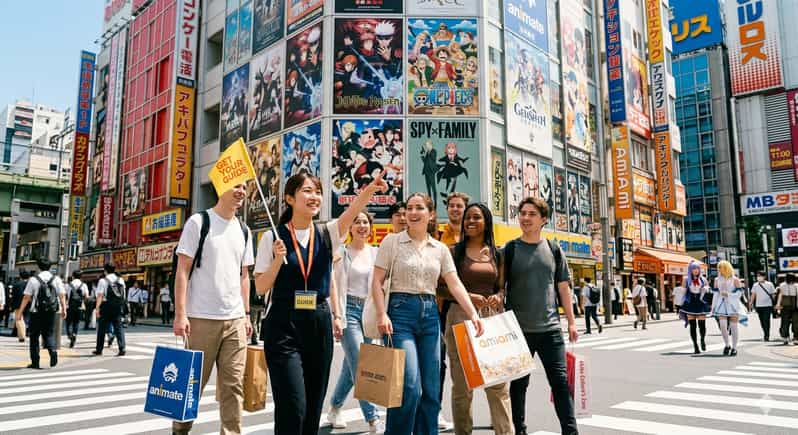 Tokyo: Akihabara Anime and Otaku Culture Walking Tour