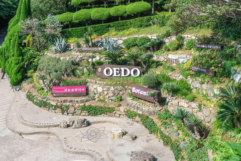 Oedo Island Botania & Geoje Private Day Tour from Busan