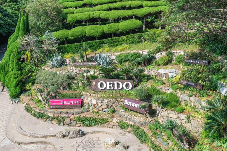 Oedo Island Botania & Geoje Private Day Tour from Busan