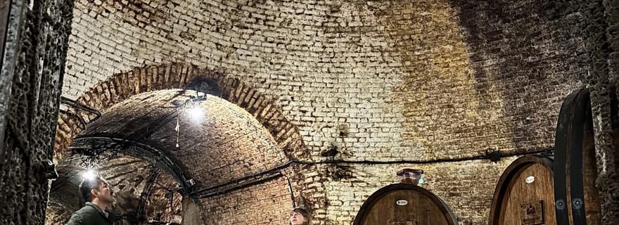Épernay : visite d'un domaine viticole et d'une cave avec dégustation de champagne