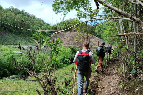 Chiang Mai: One Day Eco-Trek, Elephant care & Bamboo Rafting