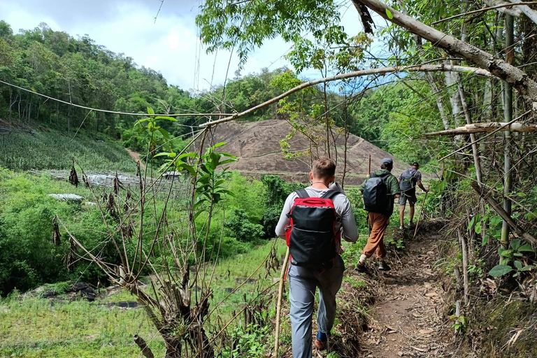Chiang Mai: One Day Eco-Trek, Elephant care & Bamboo Rafting