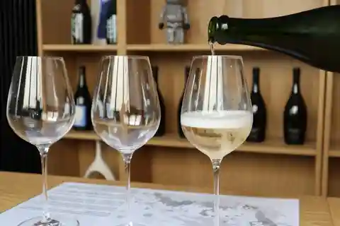 Dégustation 3 champagner