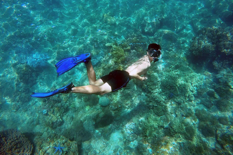 Cham Islands: Scuba Diving Experience with 2 Divemaster Opts PADI Scuba + Snorkeling (1 Dive + 1 Snorkel)
