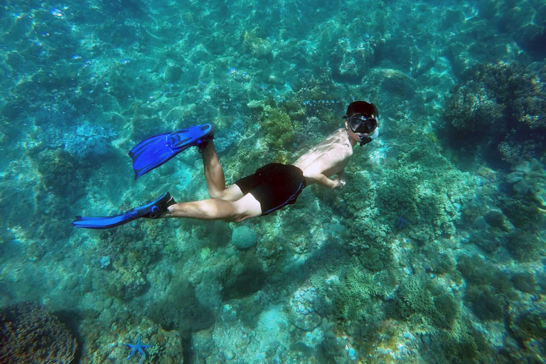Cham Islands: Scuba Diving Experience with 2 Divemaster Opts PADI Scuba + Snorkeling (1 Dive + 1 Snorkel)