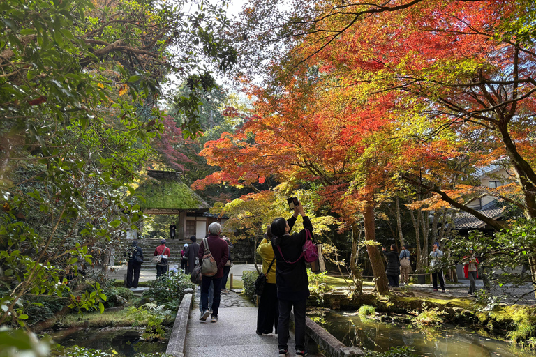 Kyoto: Higashiyama Premium E-Bike Tour with guide