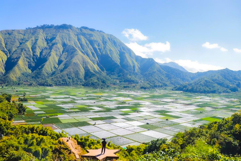 Lombok: Exclusieve Sendang Gile, Tiu Kelep &amp; Selong Hill TourPrivétour met lunch