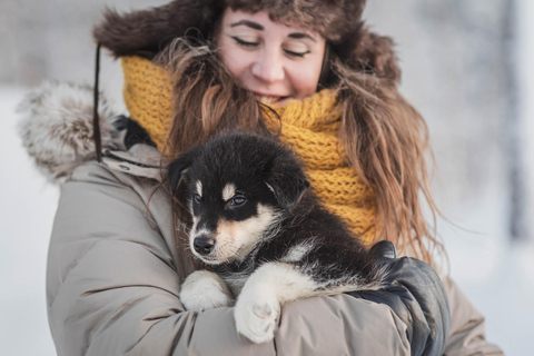 Levi: Nature Walk with Huskies