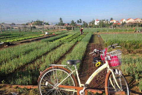 Hoi An: Tra Que, Thanh Ha, and Kim Bong Villages Tour